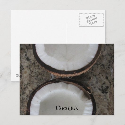 Kokosnuss Postkarte (Vorne/Hinten)