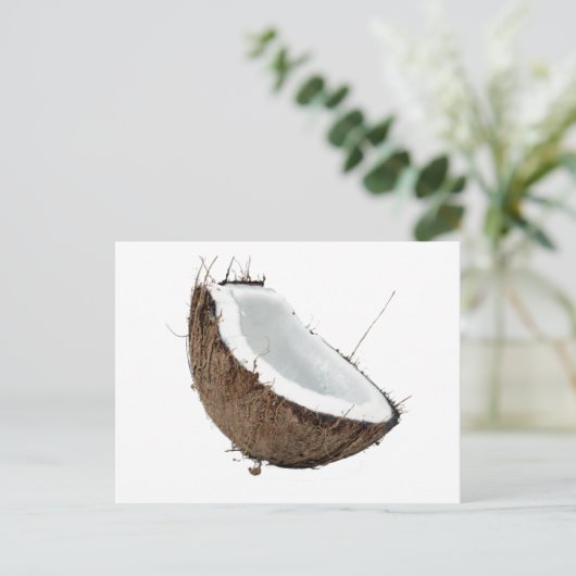 Kokosnuss Postkarte (Stehend Vorderseite)