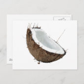 Kokosnuss Postkarte (Vorne/Hinten)