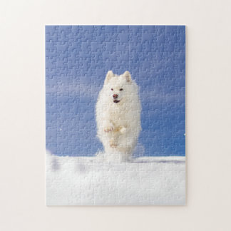 Kokosnuss - Schneebär Puzzle