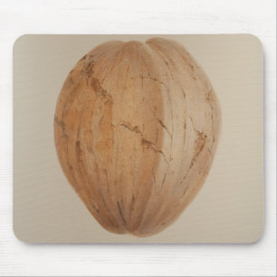 Kokosnuss Sri Lanka 2010 Mousepad