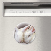 Kokosnuss- und Frostschutzfeuerwaffen Magnet (In Situ (Geschirrspüler))