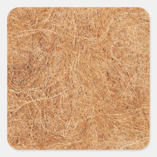 Kokosnussbeschaffenheit Quadratischer Aufkleber