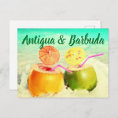 Kokosnüsse aus Antigua und Barbuda Postkarte (Vorne/Hinten)