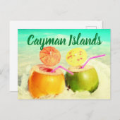 Kokosnüsse Postkarte (Vorne/Hinten)