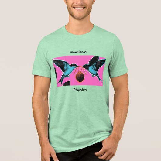 Kokosnüsse wandern nicht Medieval Physics Tee (Vorderseite)