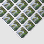 Kokosnusspalmen Seidenpapier (Ausschnitt)