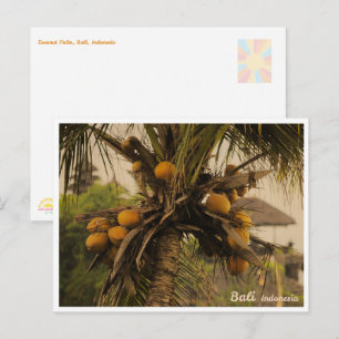 Kokospalme, Bali Indonesien - Reise-Postkarte Feiertagspostkarte