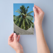 Kokospalme Flyer (Handgriff)