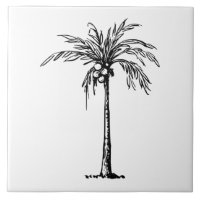 Kokospalme schwarz-weiß
