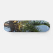 Kokospalme Skateboard (Horizontal)