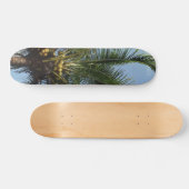 Kokospalme Skateboard (Horizontal)
