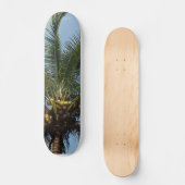 Kokospalme Skateboard (Vorderseite)