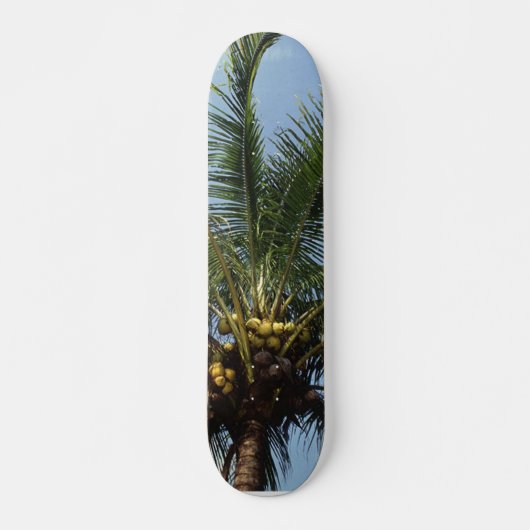 Kokospalme Skateboard (Vorne)