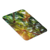 Kokospalmen am Strand Magnet (Rechte Seite)