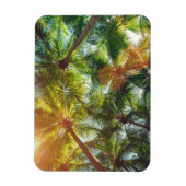 Kokospalmen am Strand Magnet (Vertikal)