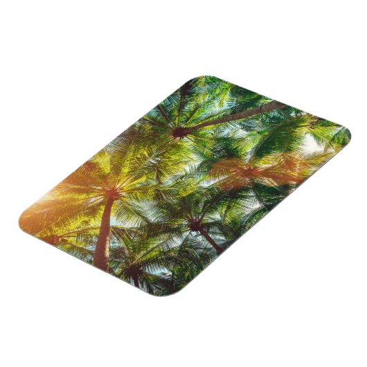Kokospalmen am Strand Magnet (Linke Seite)