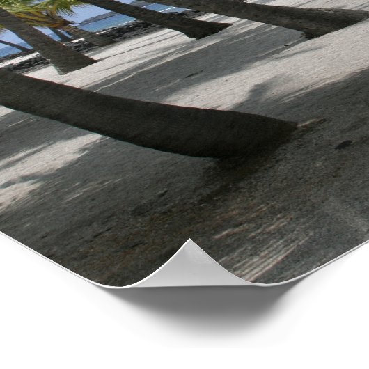 Kokospalmen am Zufluchtsort, Hawaii - Print Poster (Ecke)