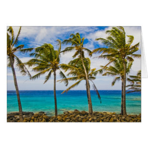 Kokospalmen (Cocos nucifera)