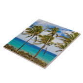 Kokospalmen (Cocos nucifera) Fliese (Seite)