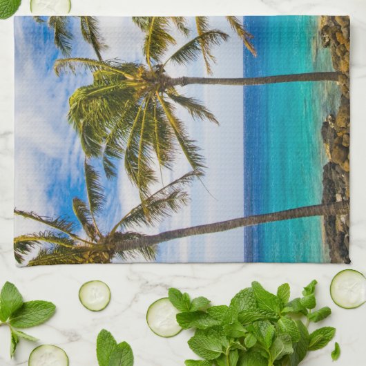 Kokospalmen (Cocos nucifera) Geschirrtuch (Gefaltet)