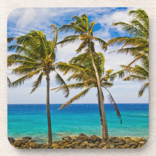 Kokospalmen (Cocos nucifera) Getränkeuntersetzer (Vorderseite)