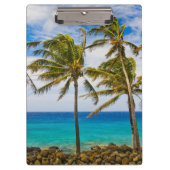 Kokospalmen (Cocos nucifera) Klemmbrett (Vorderseite)