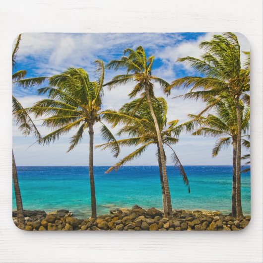 Kokospalmen (Cocos nucifera) Mousepad (Vorne)