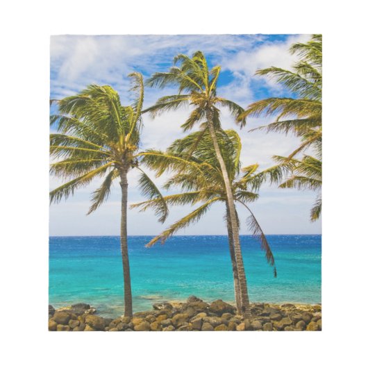 Kokospalmen (Cocos nucifera) Notizblock (Vorderseite)