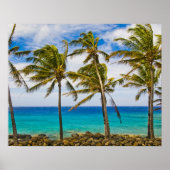 Kokospalmen (Cocos nucifera) Poster (Vorne)