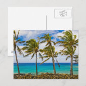 Kokospalmen (Cocos nucifera) Postkarte (Vorne/Hinten)