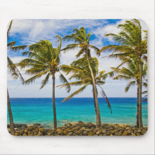 Kokospalmen (Cocos nucifera) schwanken in Mousepad