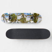 Kokospalmen (Cocos nucifera) Skateboard (Horizontal)