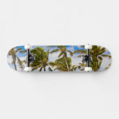 Kokospalmen (Cocos nucifera) Skateboard (Horizontal)