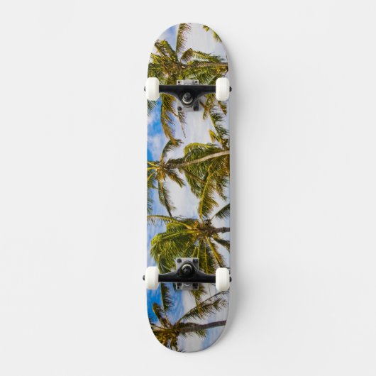 Kokospalmen (Cocos nucifera) Skateboard (Vorderseite)