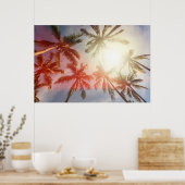 Kokospalmen gegen die Sonne Poster (Küche)