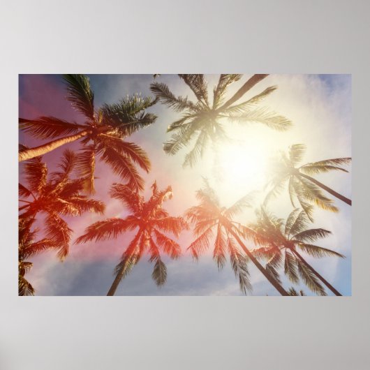 Kokospalmen gegen die Sonne Poster (Vorne)
