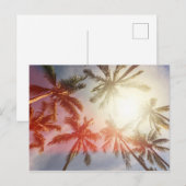 Kokospalmen gegen die Sonne Postkarte (Vorne/Hinten)