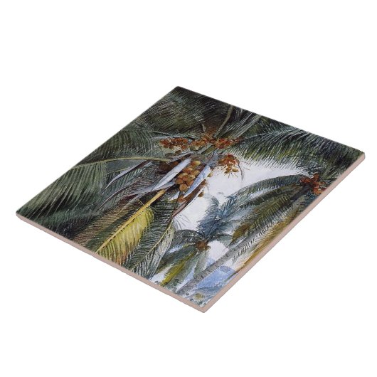 Kokospalmen, Key West, Florida, Fliese (Seite)