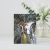 Kokospalmen, Key West, Florida, Postkarte (Stehend Vorderseite)