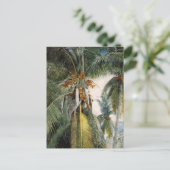 Kokospalmen, Key West Winslow Homer Postkarte (Stehend Vorderseite)