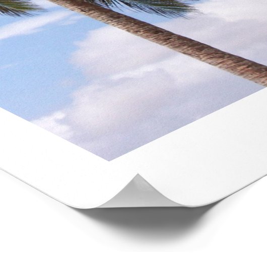 Kokospalmen Poster (Ecke)