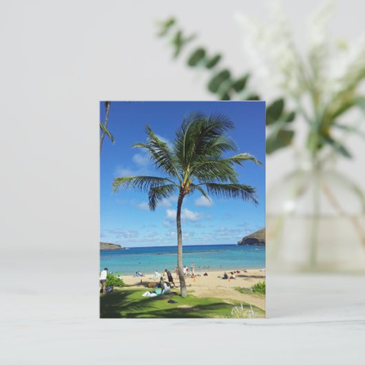 Kokospalmen Postkarte (Stehend Vorderseite)