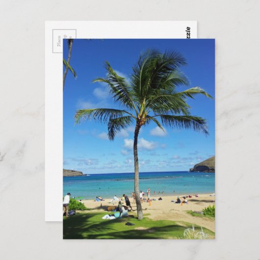 Kokospalmen Postkarte (Vorne/Hinten)