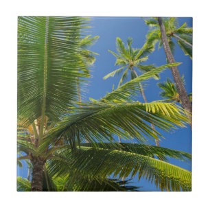 Kokospalmen, Pu'uhonua o Honaunau 1 Fliese