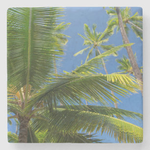 Kokospalmen, Pu'uhonua o Honaunau 1 Steinuntersetzer