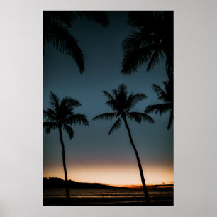 Kokospalmen Silhouette Poster
