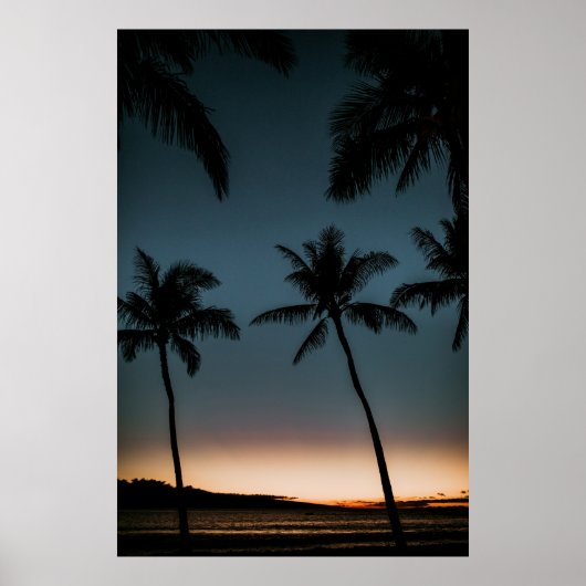 Kokospalmen Silhouette Poster (Vorne)