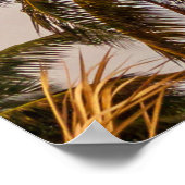 Kokospalmen unter bewölktem Himmel am Morgen Poster (Ecke)