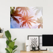 Kokospalmenbaum mit Sonnenlicht Poster (Heimbüro)